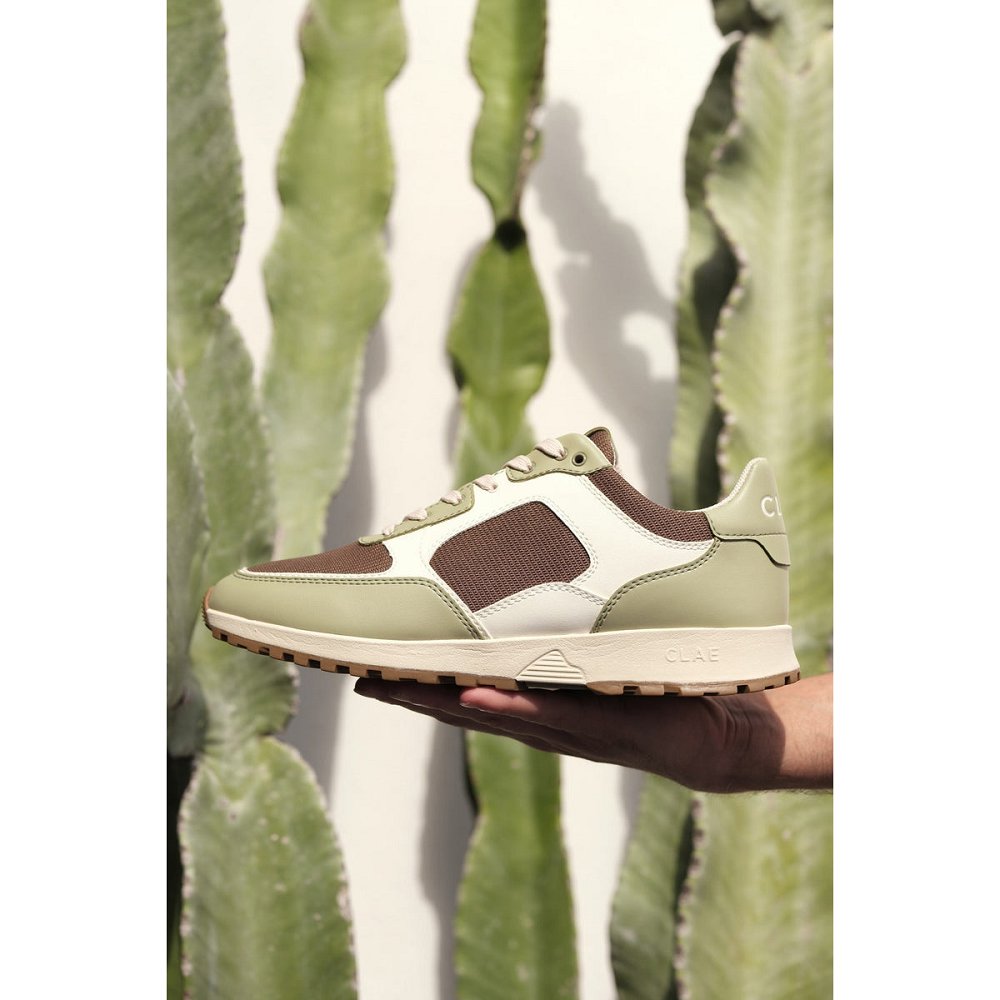 CLAE JOSHUA CACTUS Sneakers Mens USA375-K29 In Sage White Brown